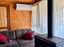 ShodaView