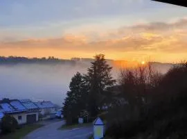 Auszeit am Fluss - Donau