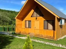 cottage mtis guli კოტეჯი მთის გული