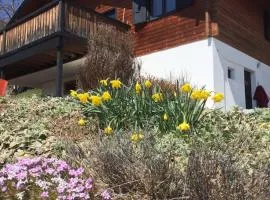 Cozy chalet with panoramic views in Leysin