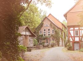 Landgasthof Hohlebach Mühle，位于霍姆贝格的酒店