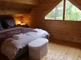 Chalet sous les pins classé 3 étoiles idéal pour 2, possible pour 4
