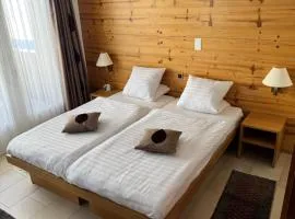 Cozy Studio with Wellness in Goms