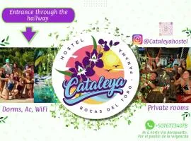 Cataleya BDT