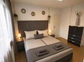 Stielvolle Wohnung in bester Lage，位于罗登巴赫的酒店