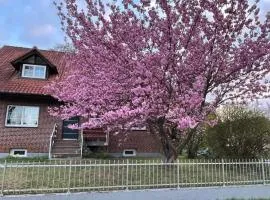 Vacation apartment between Berlin and Potsdam, 60 Quadratmeter mit glasfaser und Netflix
