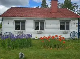 Stuga Ani Wellness & Sauna