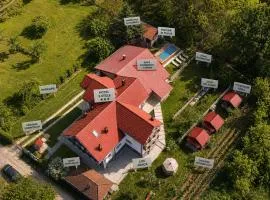 Perla Argesului, hotel romantic elegant cu piscina, sport, petreceri, natura, curte, gradina, priveliste, parcare, cazare Transfăgarasan Curtea de Arges