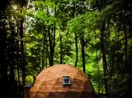 Lodge Domos Awen