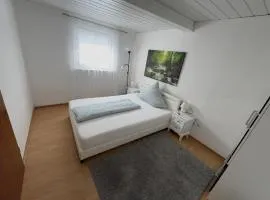 Zentral Z
