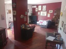 Modena Sound Suite