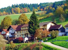 Hotel Gasthof Zur Krone，位于比尔弗登的酒店