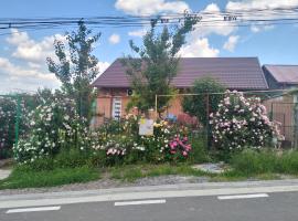 Garsoniera 20m2 anexată la casa proprietarului，位于博托沙尼的酒店