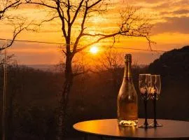 STUNNING VIEW, chambre en forêt proche BORDEAUX