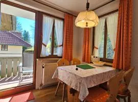 FeWo Schwarzwaldglück Todtmoos mit Sauna, Tischtennis, Fitness, Stellplätzen