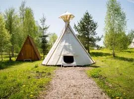Briedžio sapnas - tipis vėjas