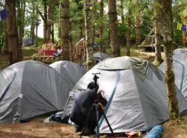 Camp Wildnest Adventures Ziro