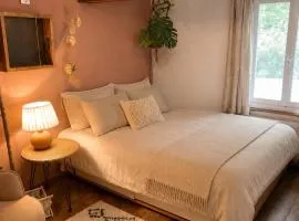 Cozy Room in an old Farmhouse near Vaduz