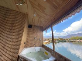 Smith Palace Group Of Houseboats，位于斯利那加的酒店