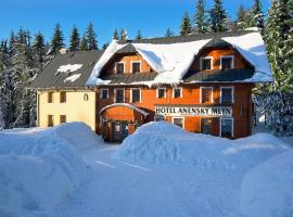 Hotel Anenský mlýn，位于日茄基的酒店