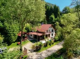 Casa Maia Dambovicioara