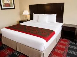 Central Albany Room with Breakfast & view