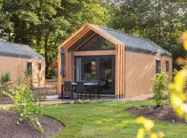 Tiny House 12