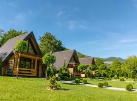Sicevacka Bajka log cabin in a nature park
