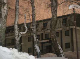 Hotel Vlasina，位于弗拉西纳里德的酒店