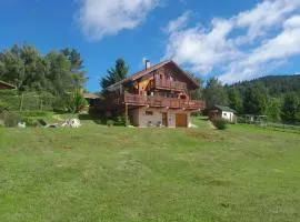 Chalet Gérardmer situé a LE THOLY