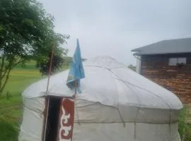 Mongol champing