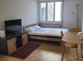 1 Flat-Room Bern