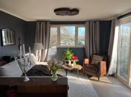 Lakehouse 20m from Amsterdam! Fireplace & Cinema