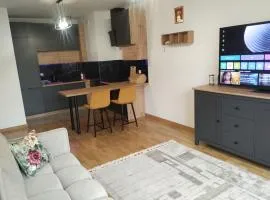 Nowoczesny Apartament 400 M Od Plaży Prywatny Ogródek Ełk