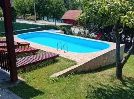Vikendica Andrija Drina