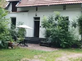 Wohnung am Wald