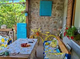 Ethno home 14 - Montenegro