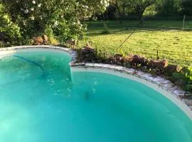 Acorn Pool Tented Camp