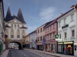 Gasthof Hofbauer，位于Schwanenstadt的住宿加早餐旅馆