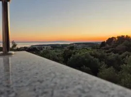 Ribarićevi dvori