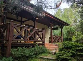 Wiesiówka nad Wkrą