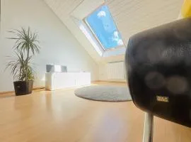 Bright attic apartment in Frauenland Hubland near university