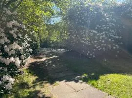Ruhiges Ferienhaus direkt am Wald