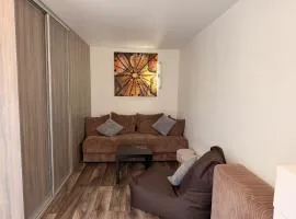Apartamentai su SPA ir terasa 6 asm