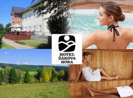 Hotel Zakova Hora，位于Herálec的酒店
