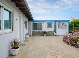 STUDIOS TASOS BI