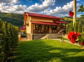 Casa TOP Cristina