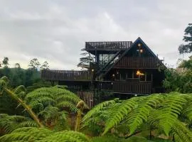 Doctor G House