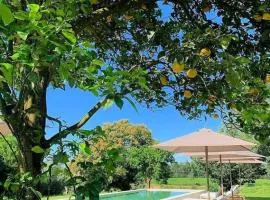 Terra Rosa Country House & Vineyards