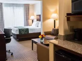 Comfort Suites University Area Notre Dame-South Bend